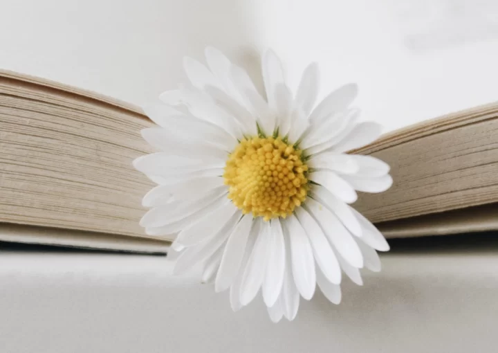 Mayıs Ayı İçin Gündem ve Sosyal Medya İçerik Fikirleri