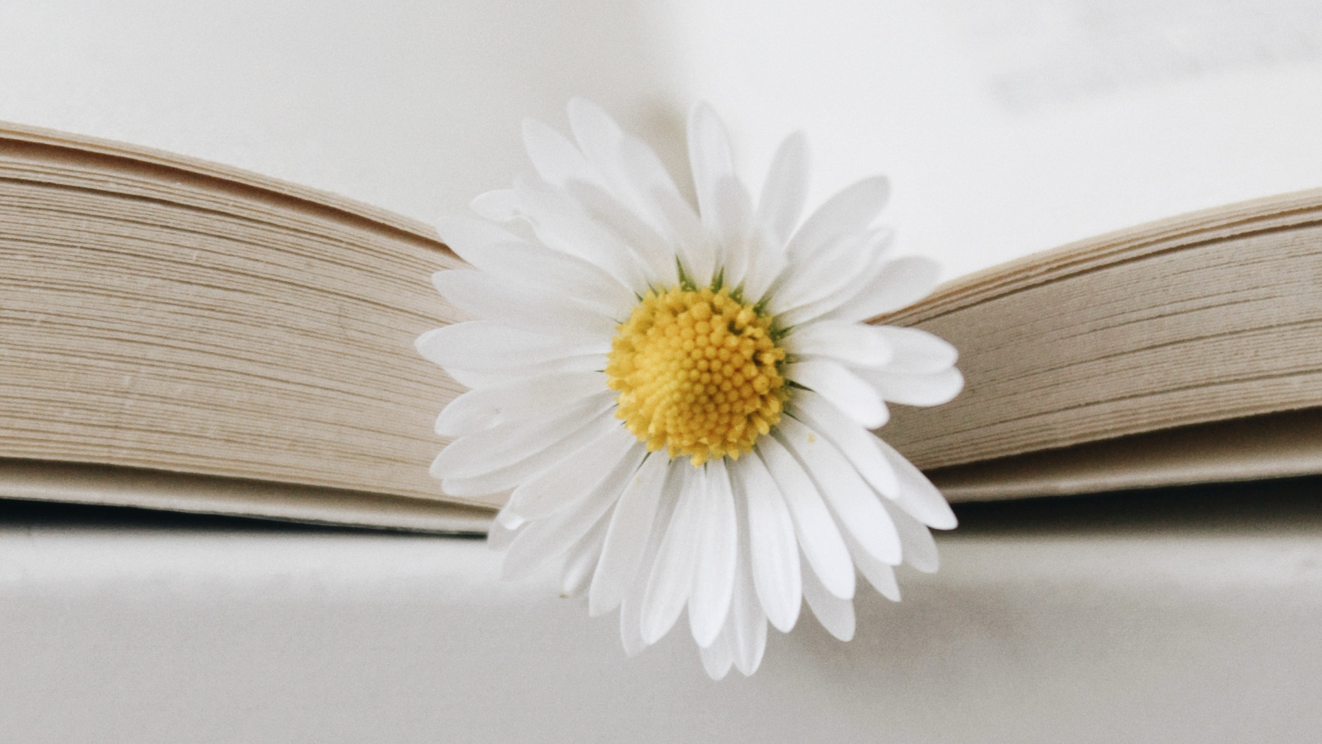 Mayıs Ayı İçin Gündem ve Sosyal Medya İçerik Fikirleri