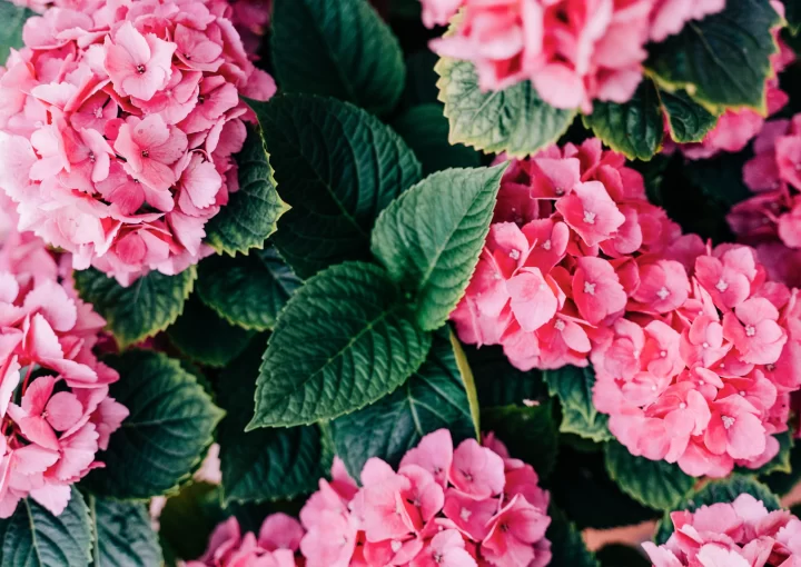 haziran gündem sosyal medya