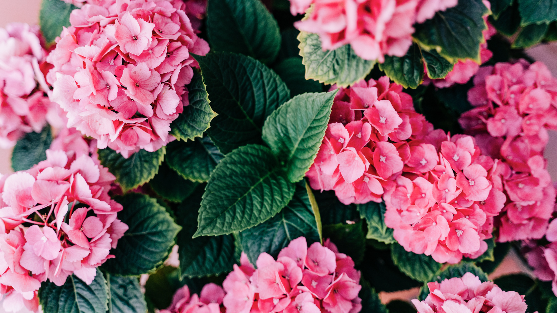 haziran gündem sosyal medya