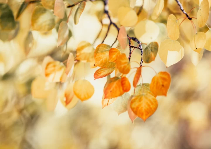 eylul_gundem_sosyal_medya