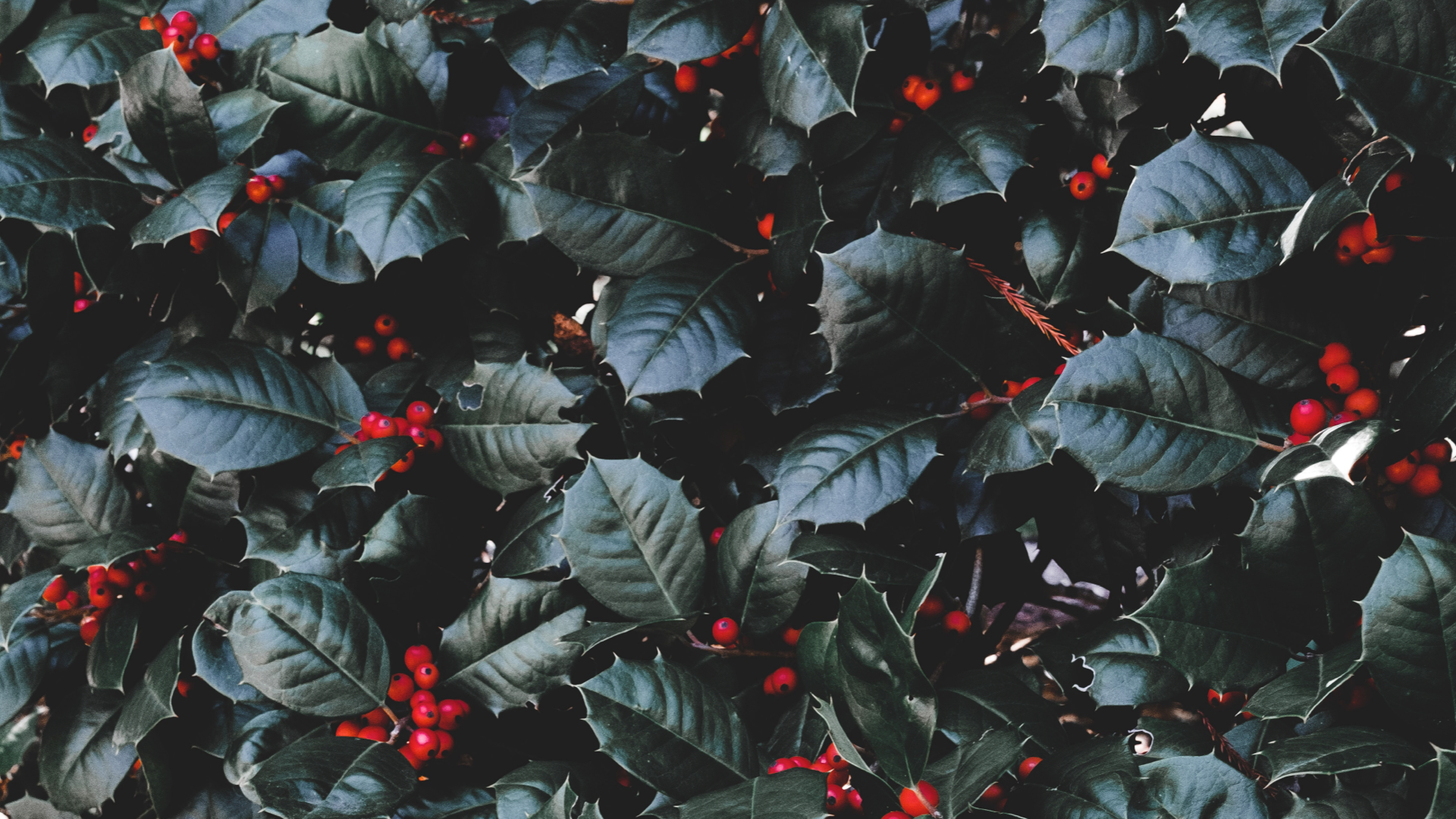 aralık ayı gündem ve sosyal medya