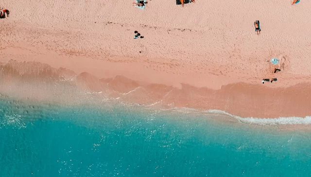 ağustos ayı