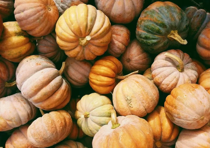 Ekim Ayı İçin Gündem ve Sosyal Medya İçerik Fikirleri